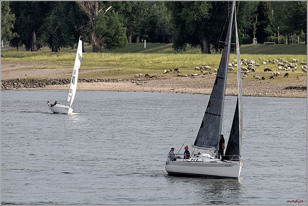 100 Jahre Rheinwoche 2022 - 2. Wettfahrt  Hitdorf - Duesseldorf, 03.06.2022,